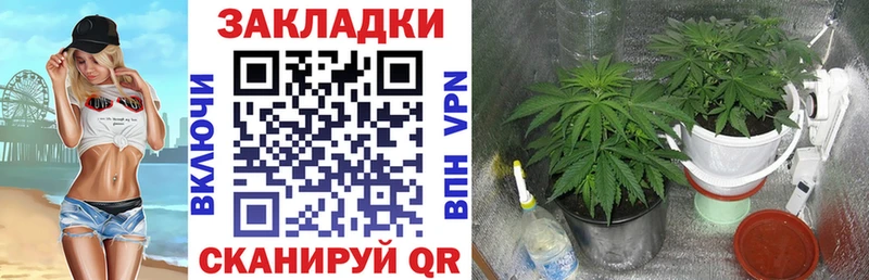 Где купить наркотики Гатчина ГАШИШ  Конопля  Псилоцибиновые грибы  Меф мяу мяу  КОКАИН  A PVP 
