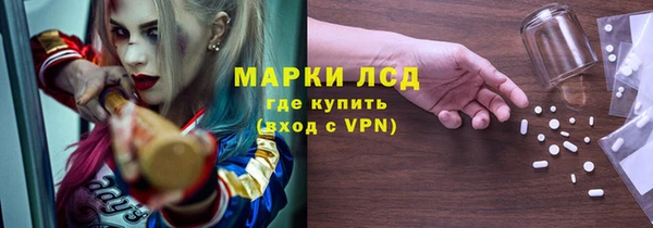 индика Богородицк