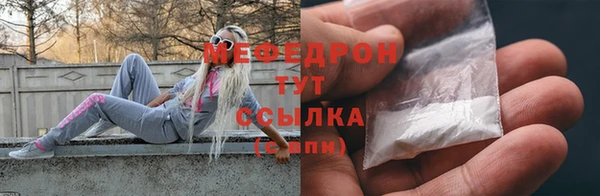 индика Богородицк