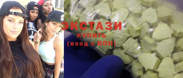индика Богородицк