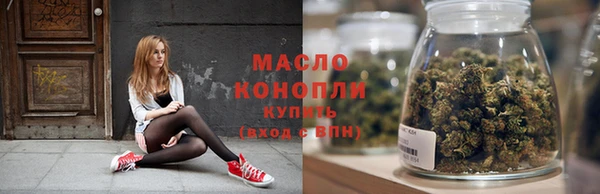 индика Богородицк