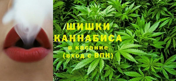 индика Богородицк