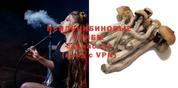 мяу мяу кристалл Богданович