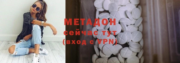индика Богородицк