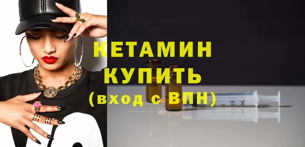 индика Богородицк