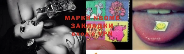 индика Богородицк
