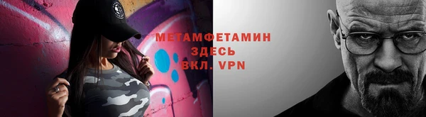 индика Богородицк