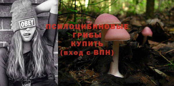 индика Богородицк