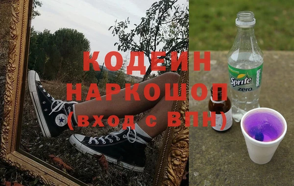 индика Богородицк