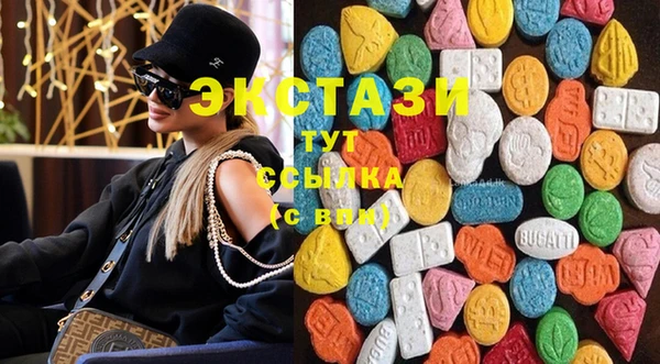 индика Богородицк