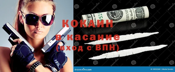 индика Богородицк
