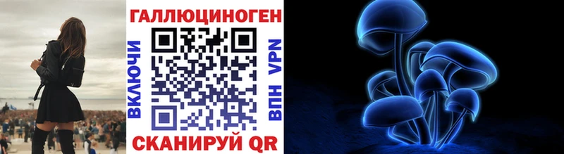 Псилоцибиновые грибы GOLDEN TEACHER  как найти закладки  Гатчина 