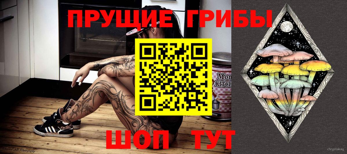 Гатчина  Псилоцибиновые грибы GOLDEN TEACHER  Вход с VPN 