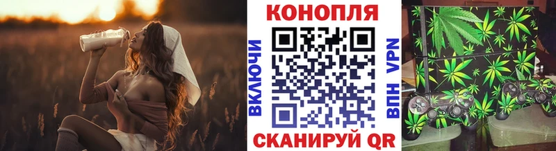 МАРИХУАНА OG Kush  Гатчина 